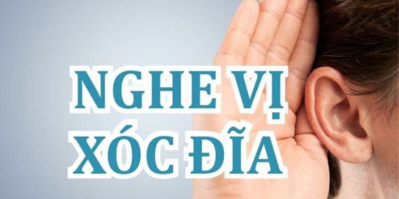 Hướng dẫn chi tiết cách nghe vị xóc đĩa 3D – cách nghe vị xóc đĩa