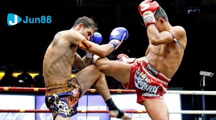 Các hình thức đặt cược có trong cá cược 